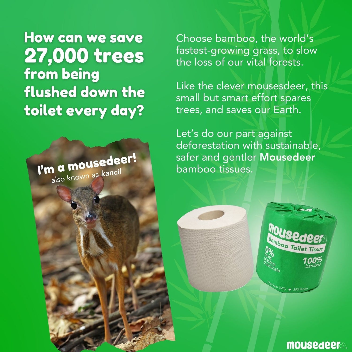 Mousedeer Bamboo Toilet Tissue Paper, 3-Ply, 20 Wrapped Rolls x 200 Sheets, Unbleached Toilet tissue paper Chevrotain