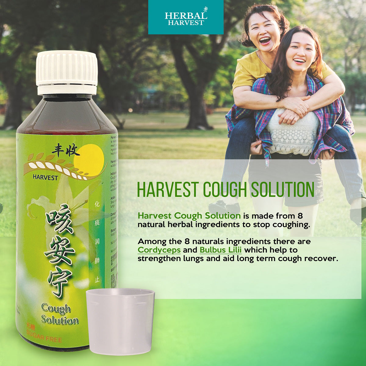 [HARVEST] TCM Cough Solutions - Bloom Concept