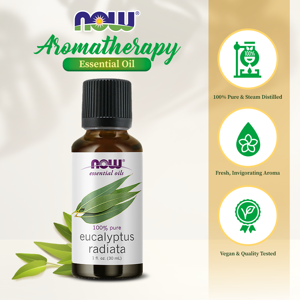 NOW Essential Oils, Eucalyptus Radiata Oil, Revitilizing Aromatherapy Scent, Steam Distilled, 100% Pure, Vegan, Child Resistant Cap, 1-Ounce (30ml) Essential oils NOW Foods USA