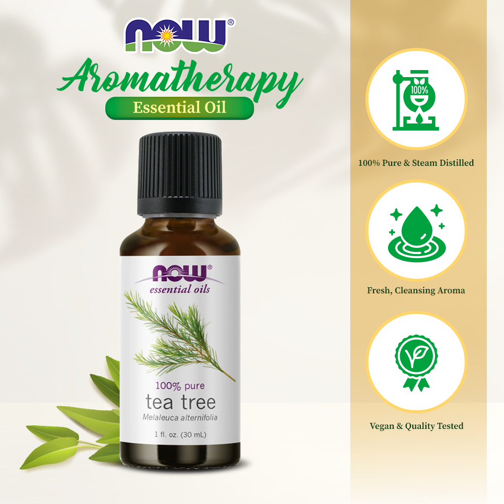 NOW Essential Oils, Tea Tree Oil, Cleansing Aromatherapy Scent, Steam Distilled, 100% Pure, Vegan, Child Resistant Cap, 1-Ounce (30ml) Essential oils NOW Foods USA