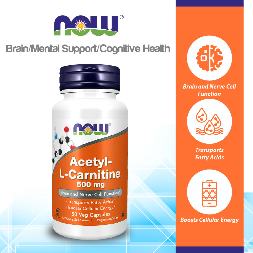 NOW Supplements, Acetyl-L Carnitine 500 mg, Amino Acid, Brain And Nerve Cell Function, 50 Veg Capsules Vitamins & Supplements NOW Foods USA