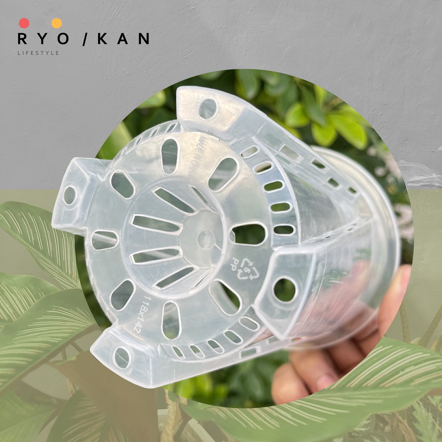 [Ryokan] Transparent Pruning Pots - Set of 3 Value Pack.  Maximize airflow and drainage to promote root development. Durable thickened contruction & UV resistant material - Bloom Concept