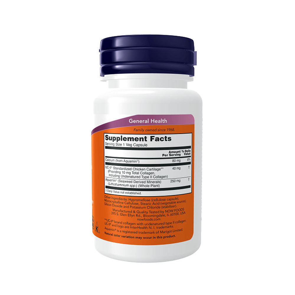 NOW Supplements, UC-II Type II Collagen with Undenatured Type II Collagen, 60 Veg Capsules Vitamins & Supplements NOW Foods USA