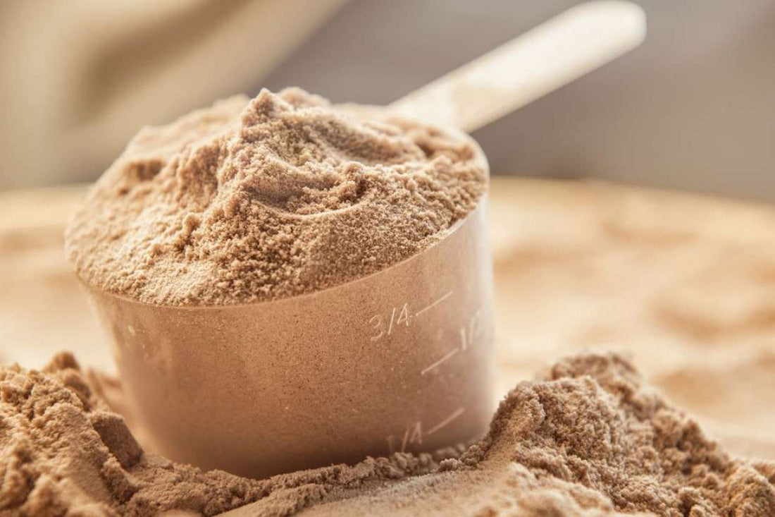Everything You Need to Know About Protein Right Now