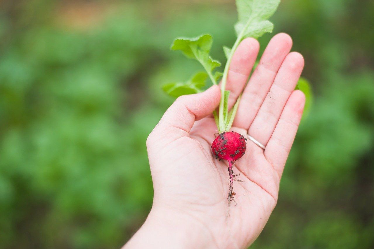 Our Promise for Sustainable Food