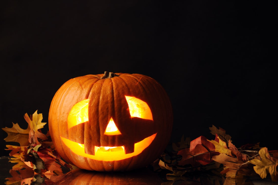 Prepare for a Pumpkin-Filled Halloween!