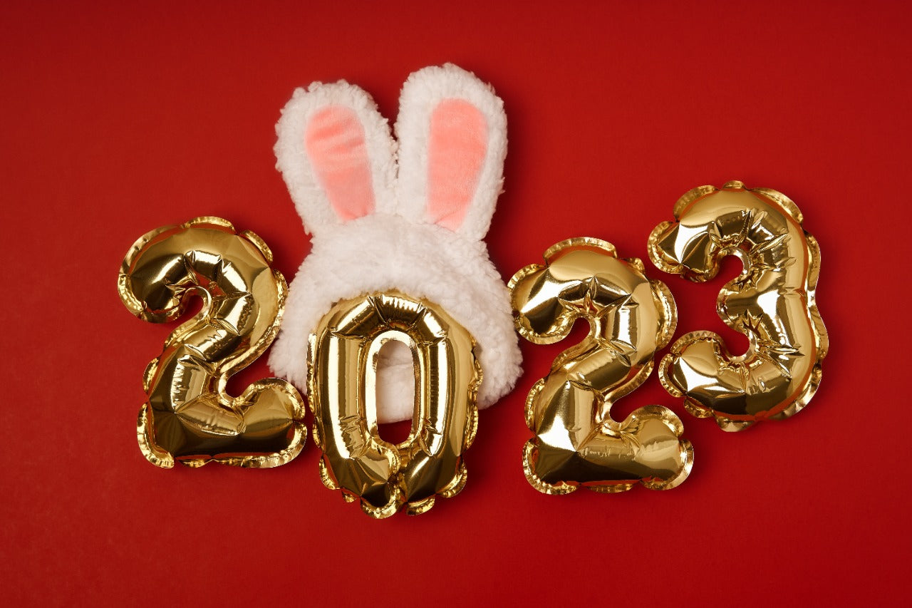 Take a Brave Leap into the New Year!