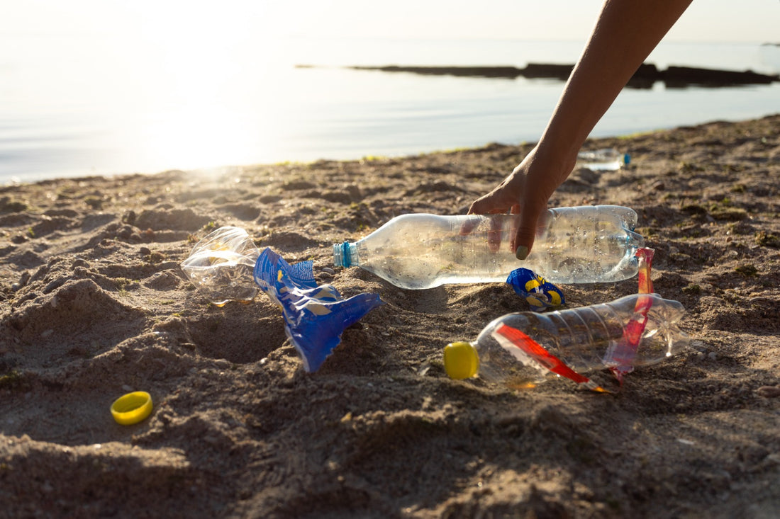 Keeping the Beaches Clean for Summer!