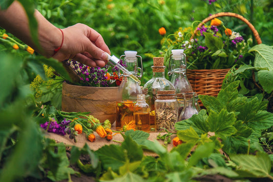 The Gift of Aromatherapy Gardening