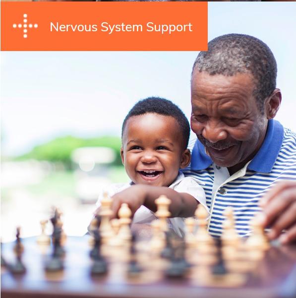 Nervous system Support