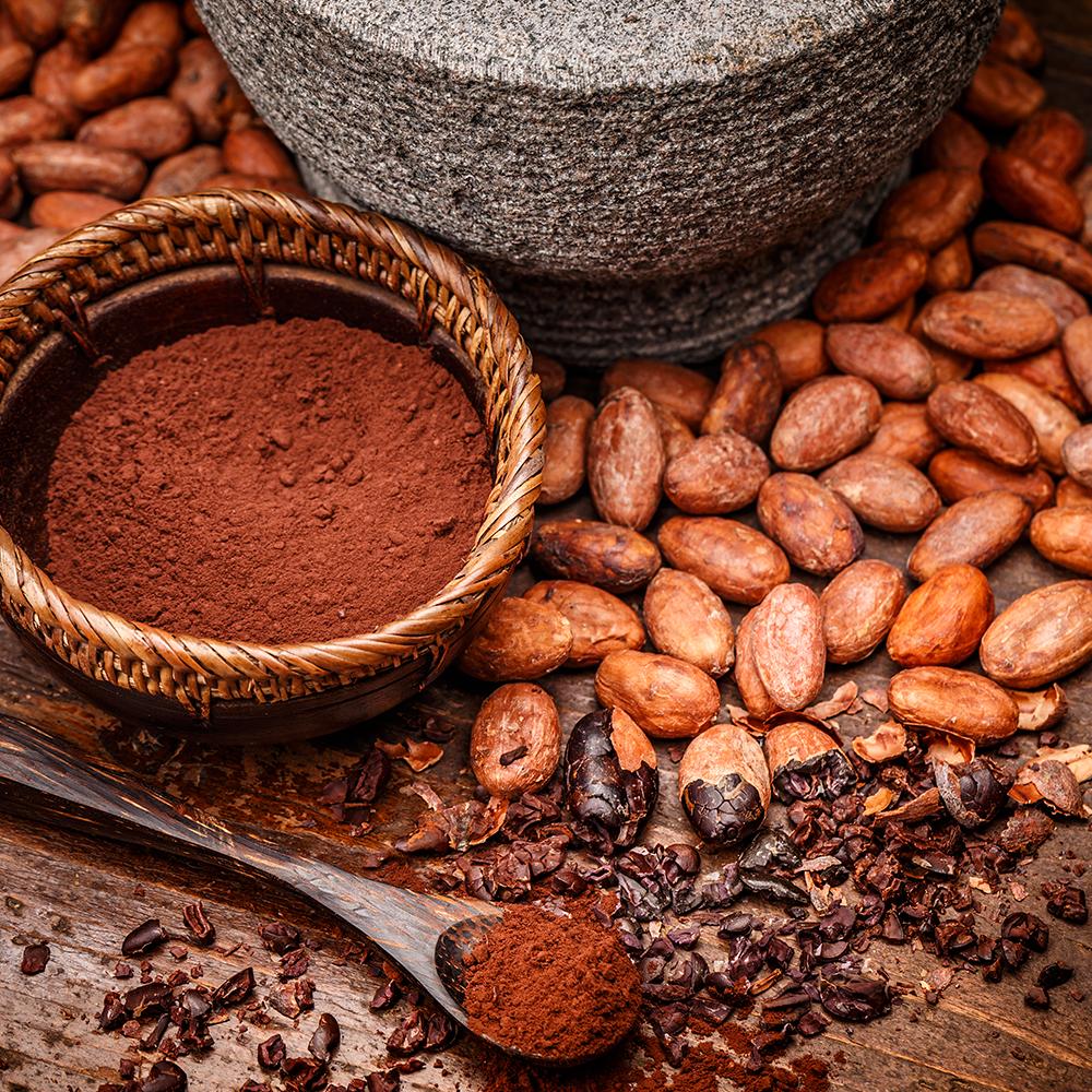Cocoa & Cacao