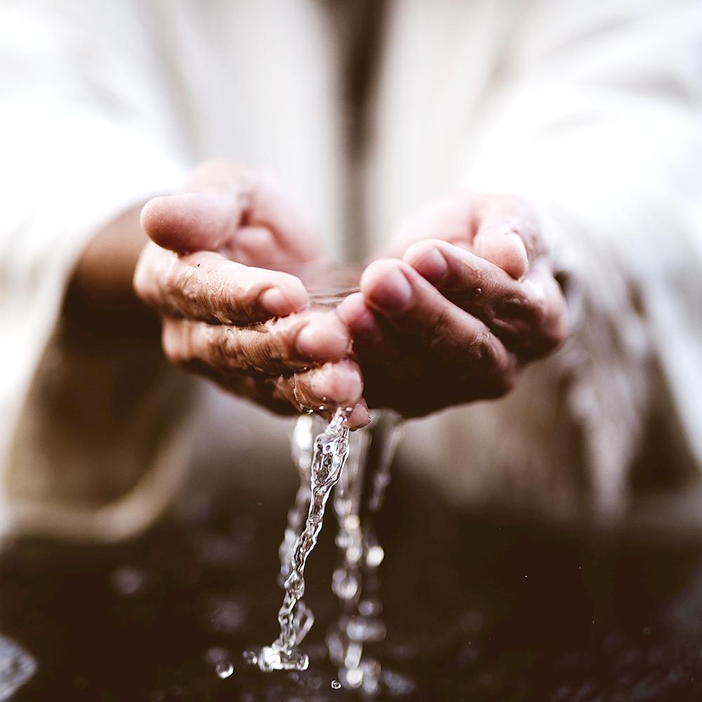 Purify & Cleanse Oils