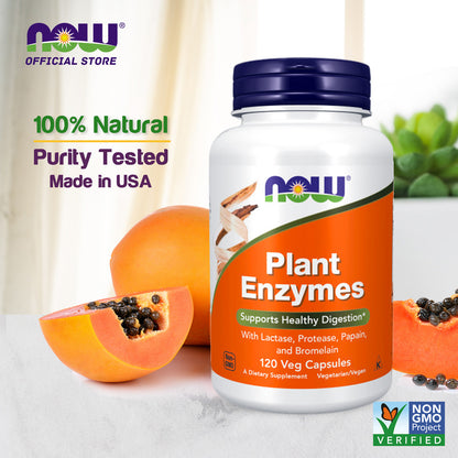 NOW Supplements, Plant Enzymes with Lactase, Protease, Papain and Bromelain, 120 Veg Capsules Vitamins &amp; Supplements NOW Foods USA