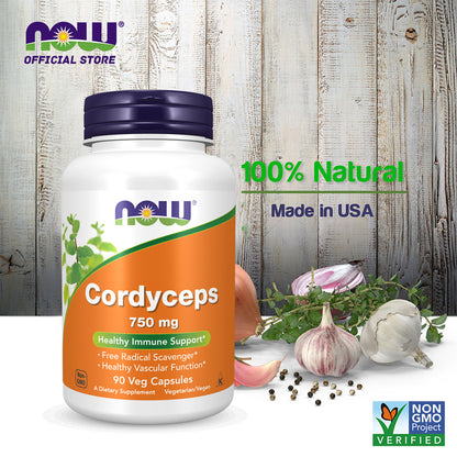 NOW Supplements, Cordyceps (Cordyceps sinensis)750 mg, Healthy Immune Support, 90 Veg Capsules Vitamins &amp; Supplements NOW Foods USA