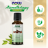 NOW Essential Oils, Organic Clove Oil, Balancing Aromatherapy Scent, Steam Distilled, 1-Ounce (30ml) Essential oils NOW Foods USA