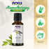 NOW Foods Vanilla Oil, Blend of Pure Vanilla Bean Extract in Pure Jojoba Oil, 1-Ounce (30ml) Essential oils NOW Foods USA