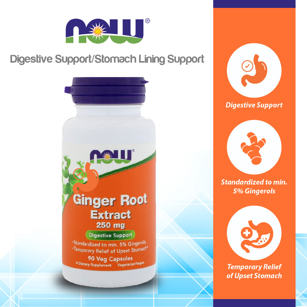 NOW Supplements, Ginger Root Extract 250 mg, Temporary Relief of Upset Stomach*, Digestive Support*, 90 Veg Capsules Vitamins &amp; Supplements NOW Foods USA