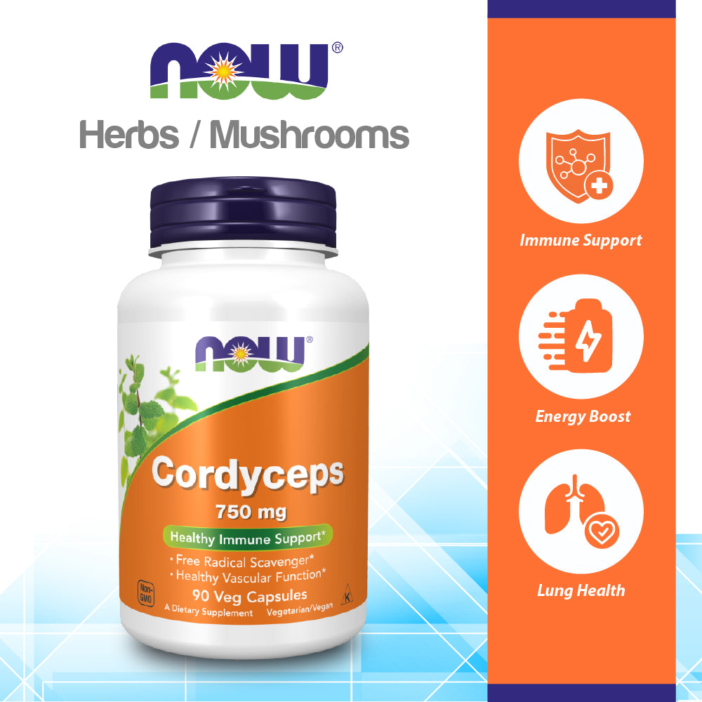 NOW Supplements, Cordyceps (Cordyceps sinensis)750 mg, Healthy Immune Support, 90 Veg Capsules Vitamins &amp; Supplements NOW Foods USA