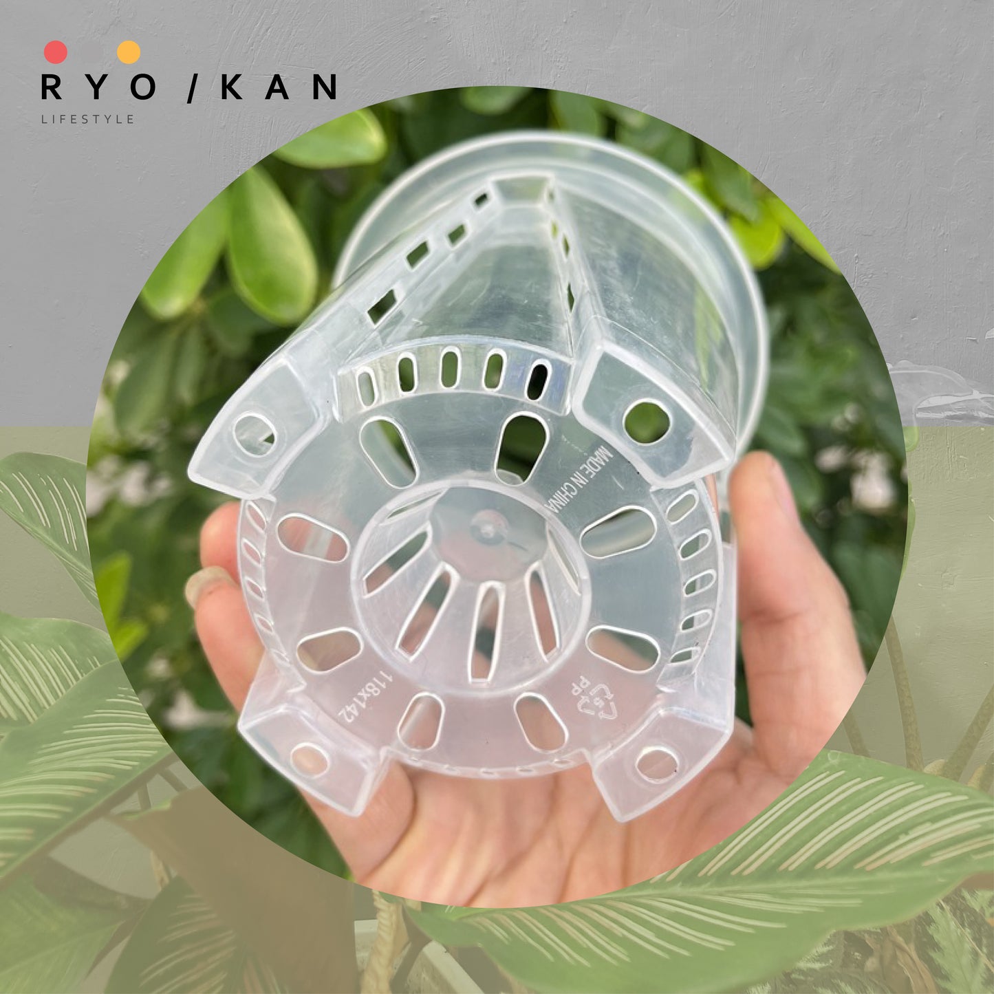 [Ryokan] Transparent Pruning Pots - Set of 3 Value Pack.  Maximize airflow and drainage to promote root development. Durable thickened contruction & UV resistant material - Bloom Concept