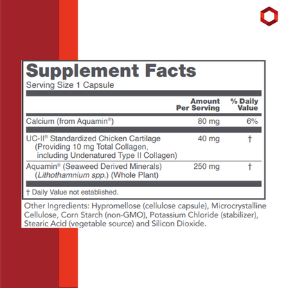 Protocol for Life Balance, Joint-UC, 60 Veg Capsules Joint Health Protocol For Life Balance