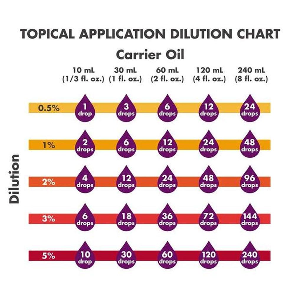 NOW Eucalyptus Roll-On, Certified Organic, Clarifying Blend, Steam Distilled, Topical Aromatherapy, 10-mL - Bloom Concept