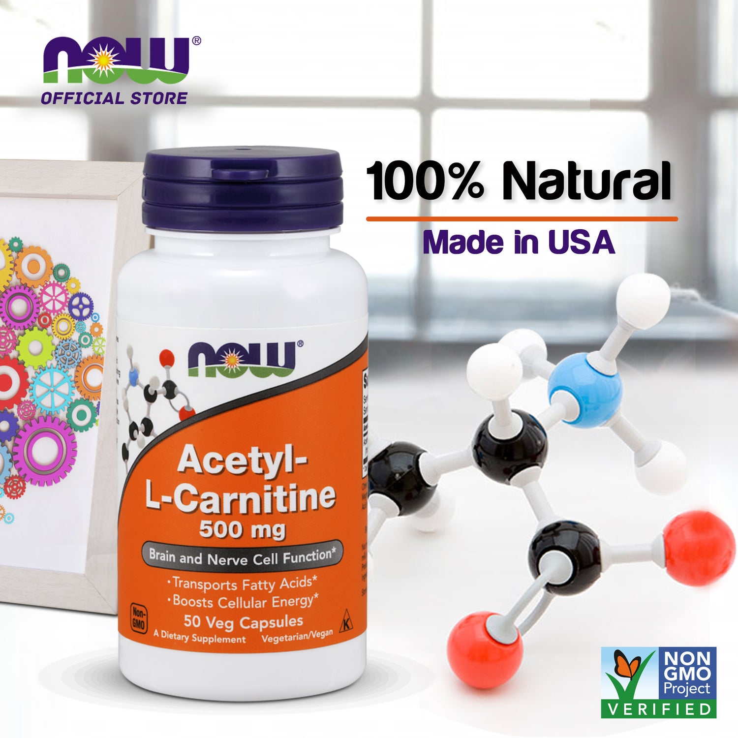 NOW Supplements, Acetyl-L Carnitine 500 mg, Amino Acid, Brain And Nerve Cell Function*, 50 Veg Capsules - Bloom Concept