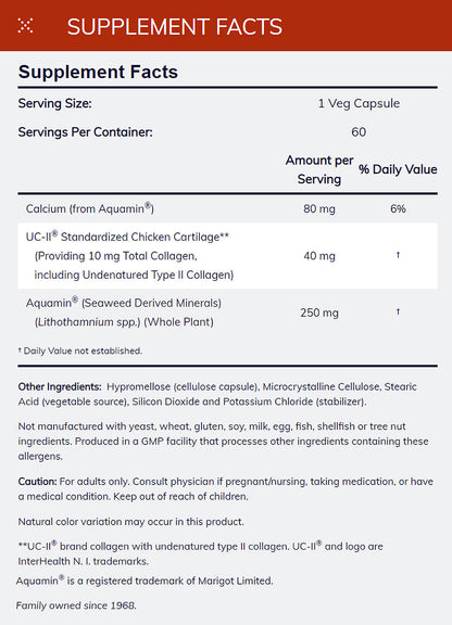 NOW Supplements, UC-II Type II Collagen with Undenatured Type II Collagen, 60 Veg Capsules Vitamins &amp; Supplements NOW Foods USA