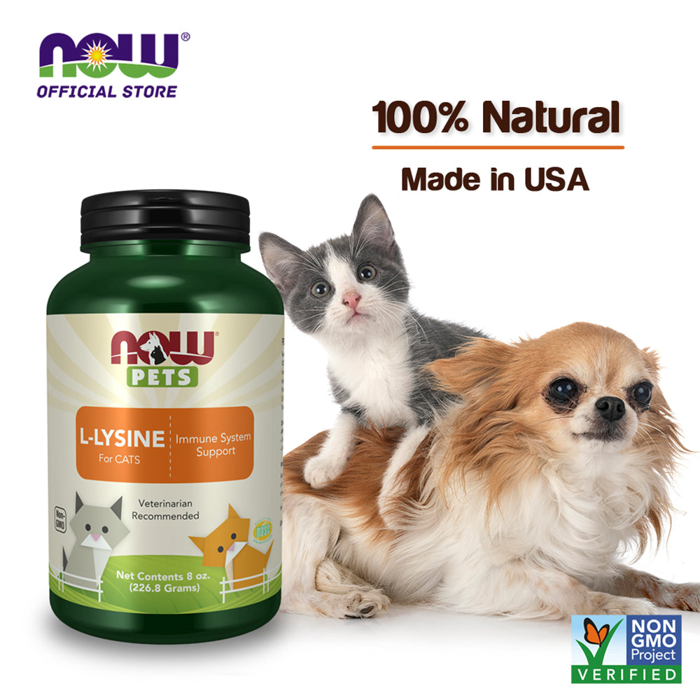 NOW Pet Health, L-Lysine Supplement, Powder, Formulated for Cats, NASC Certified, 8-Ounce (222.6 Grams) - Bloom Concept