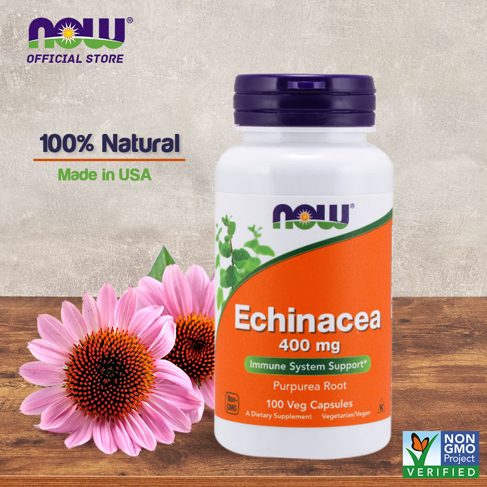 NOW Supplements, Echinacea (Purpurea Root) 400 mg, Immune System Support*, 100 Veg Capsules - Bloom Concept