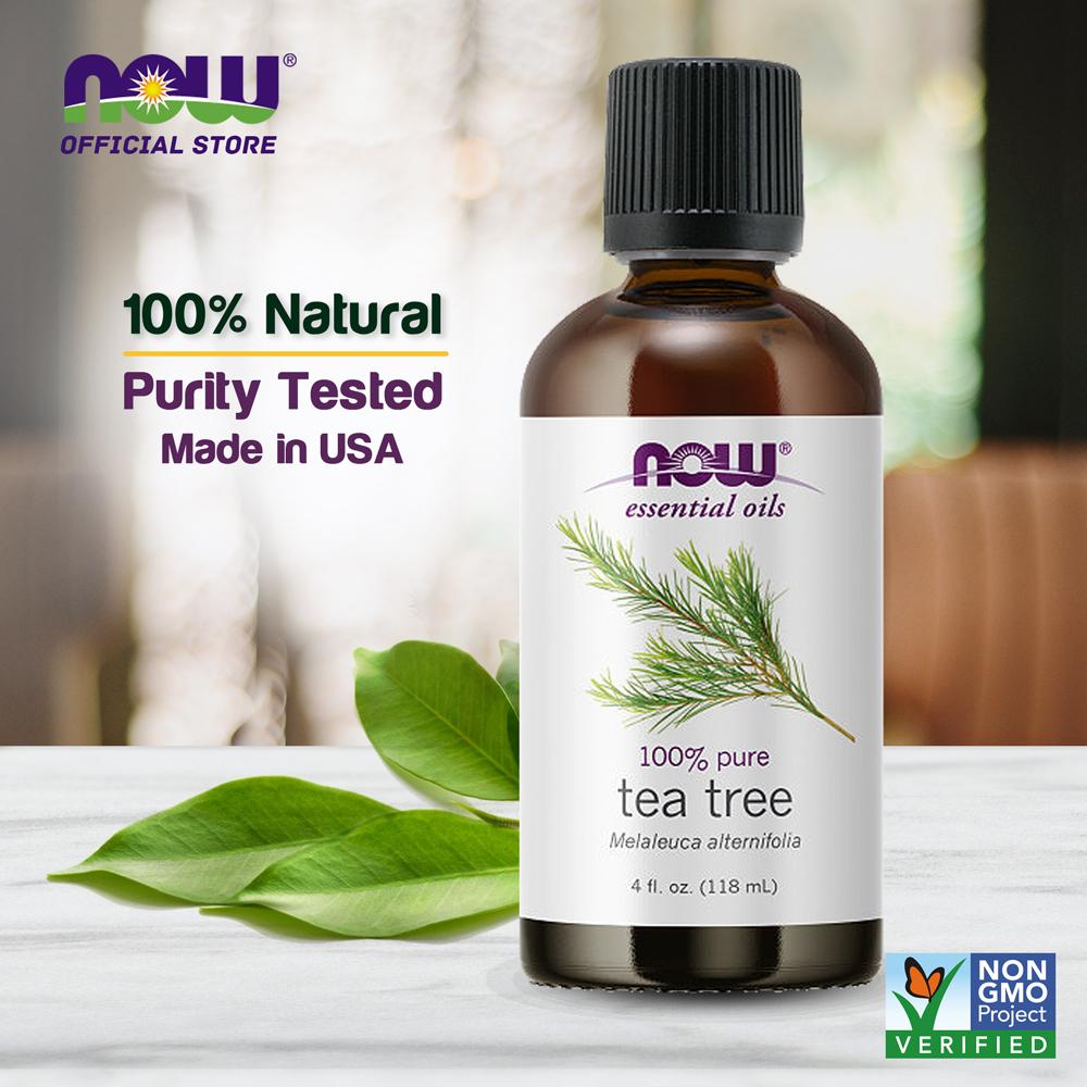 (Best by 02/24) NOW Essential Oils, Tea Tree Oil, Cleansing Aromatherapy Scent, Steam Distilled, 100% Pure, Vegan, 4-Ounce (118ml) - Bloom Concept