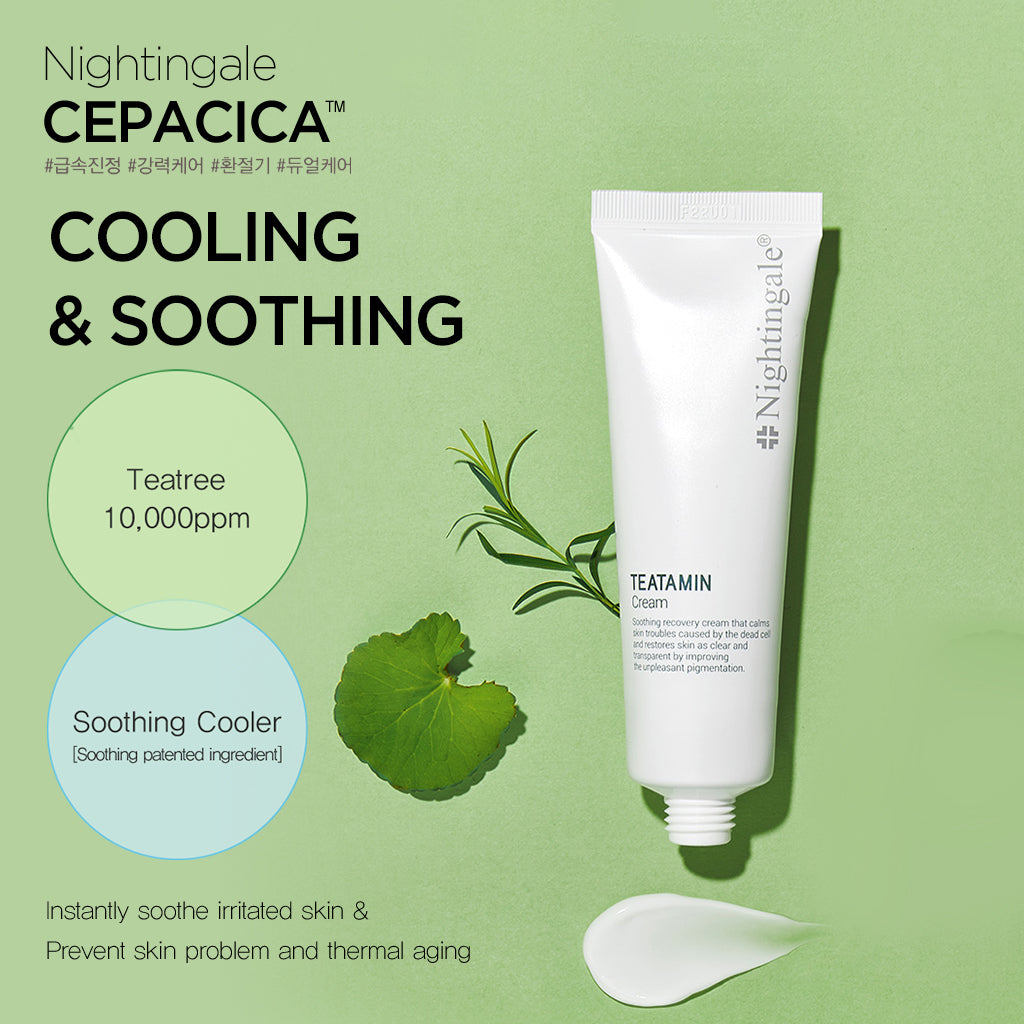NIGHTINGALE Teatamin Facial Cream - Soothing and Moisturizing Daily Skincare for Pigmentation and Redness, with Tea Tree and Vitamin, 50ml (1.69 fl. Oz.) - Bloom Concept