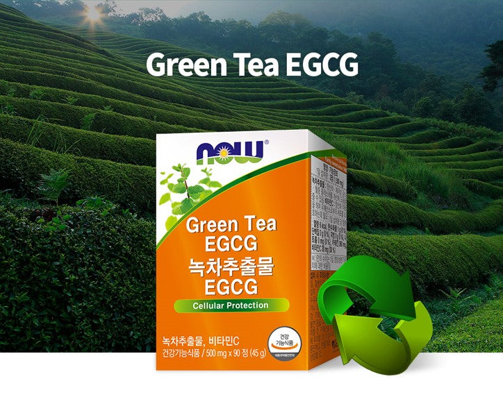 NOW FOODS EGCG Green Tea Extract - 500mg 90 Tablets for Antioxidant and Metabolism Support - Bloom Concept