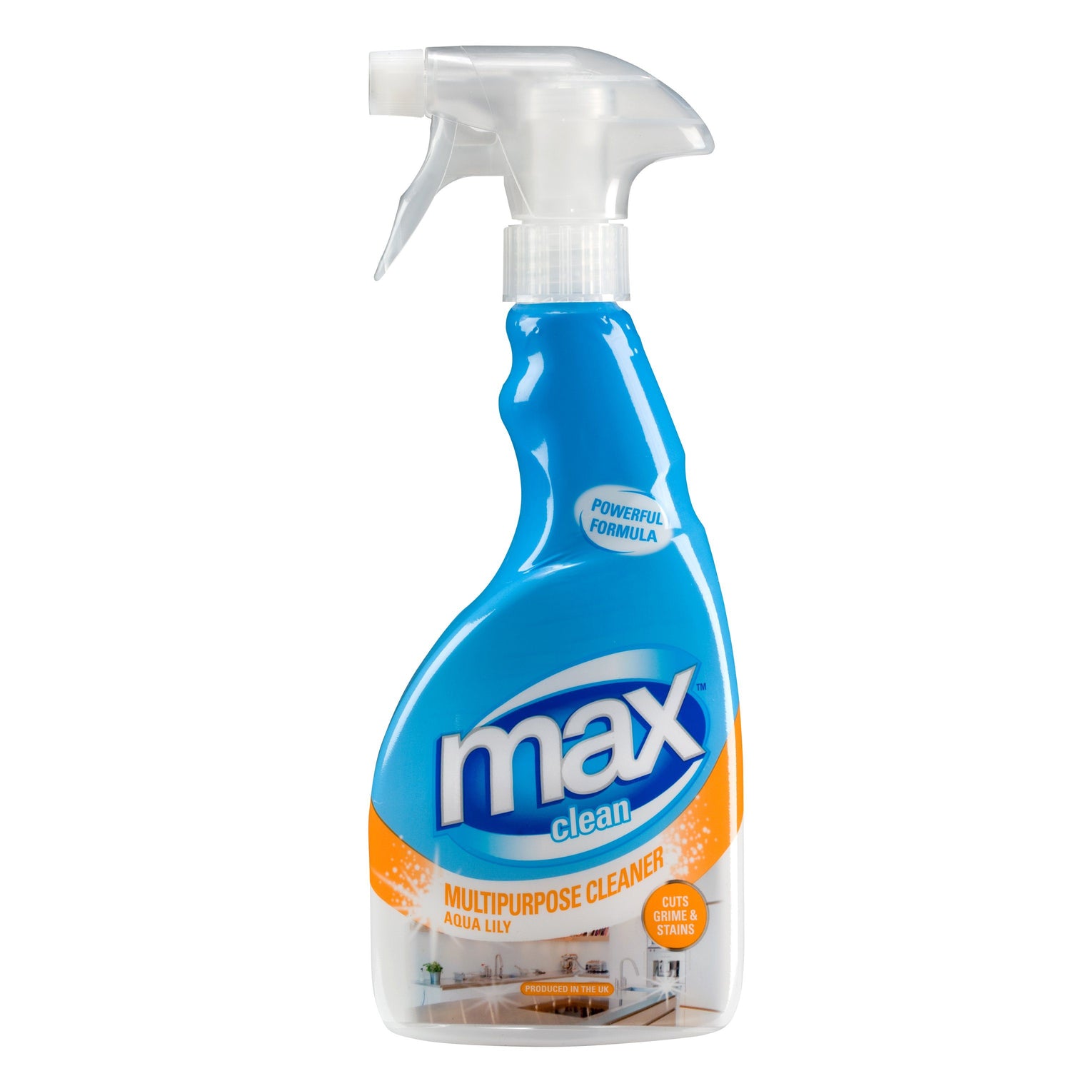 MAX Clean Multi-Purpose Cleaner 500ml - Bloom Concept