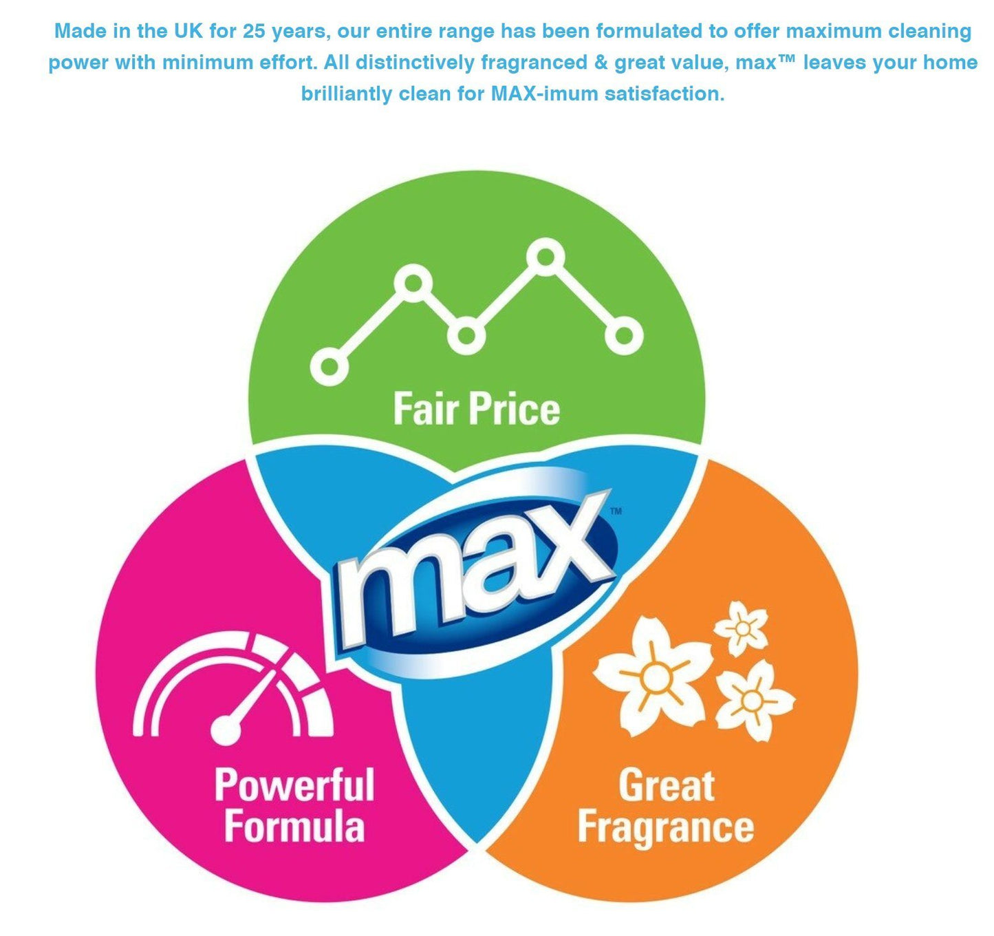 MAX Clean Multi-Purpose Cleaner 500ml - Bloom Concept